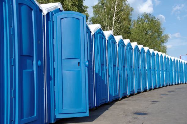 Best Affordable porta potty rental  in Bemidji, MN